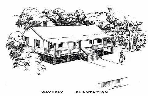 Waverly Plantation